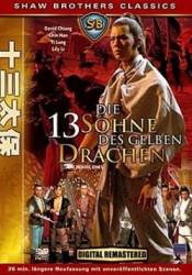 Die 13 Söhne des gelben Drachen (DVDRip)